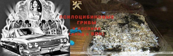 MDMA Вяземский