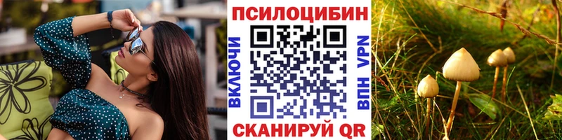 дарнет шоп  Шумерля  Галлюциногенные грибы Psilocybe 